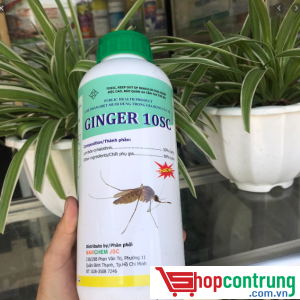 thuốc phun muỗi Ginger 10SC
