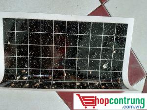 KEO ĐÈN DIỆT CÔN TRÙNG, MUỖI KEO ĐÈN DIỆT CÔN TRÙNG, MUỖI