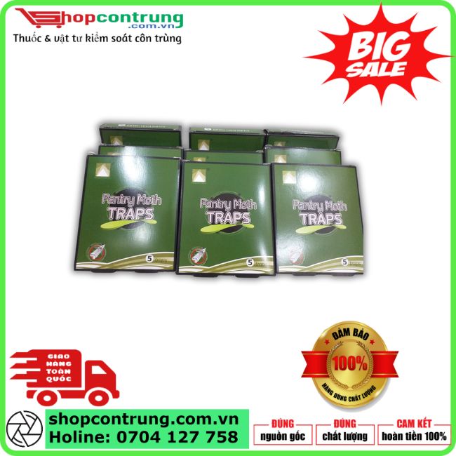 Keo bẫy ngài-Bướm