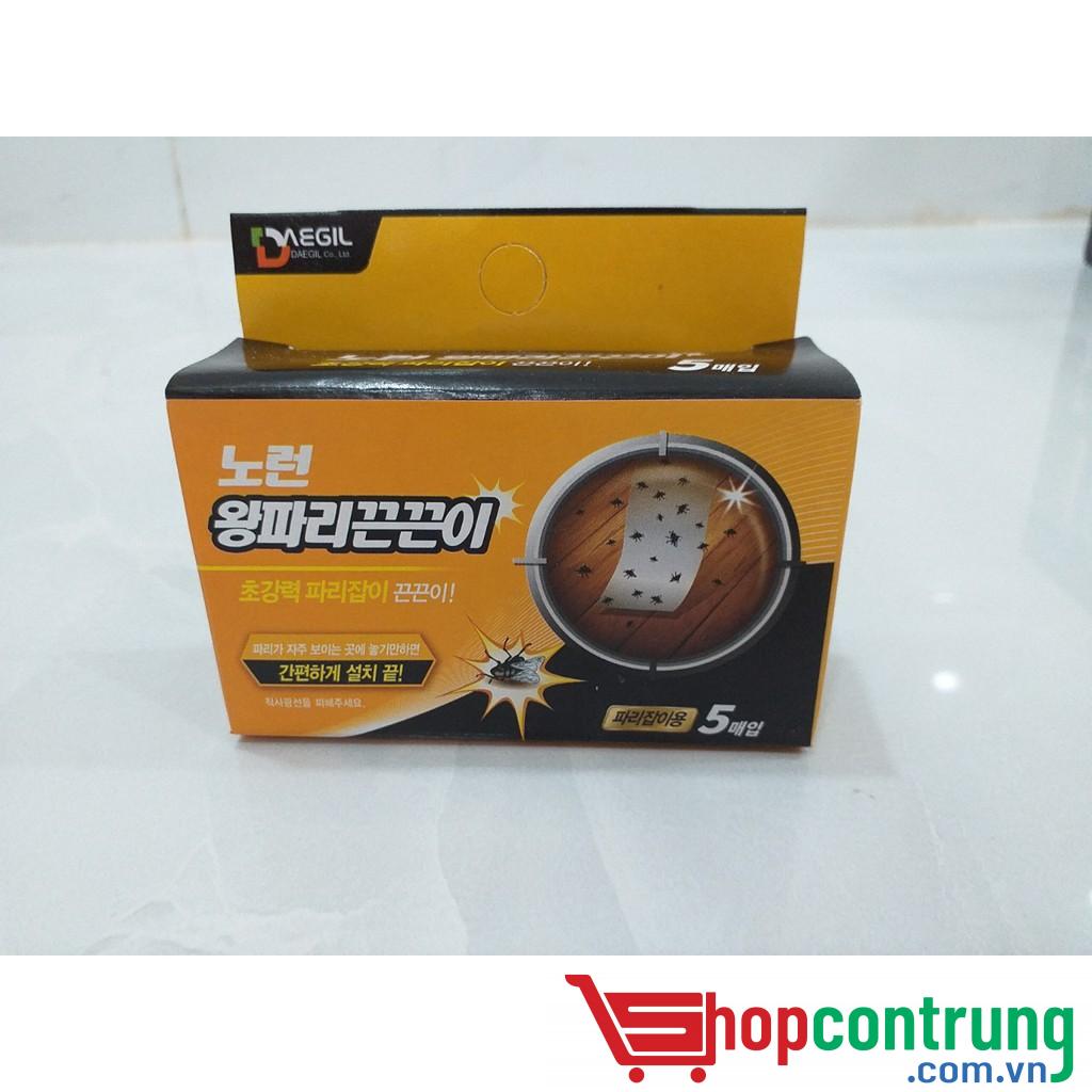 Keo bẫy thằn lằn- Ruồi