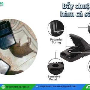 Bẫy sập chuột hàm cá sấu siêu nhạy