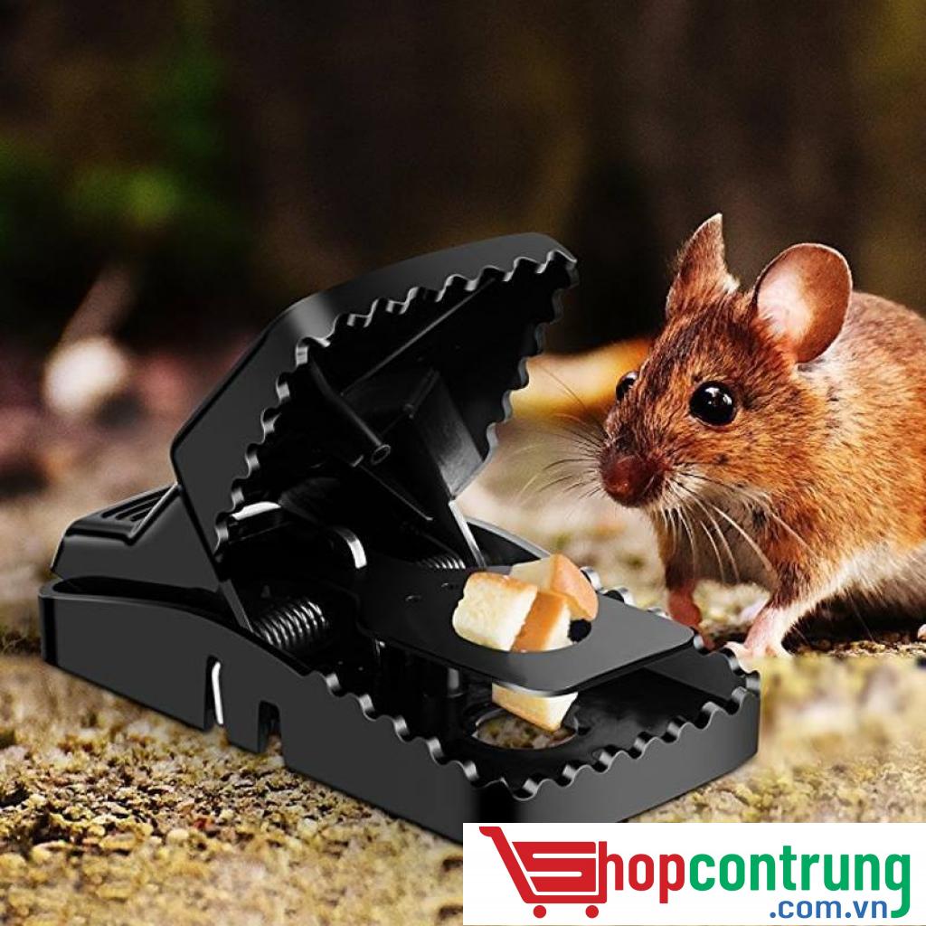 bẫy bắt chuột cá sấu