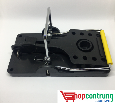 bẫy chuột thông minh