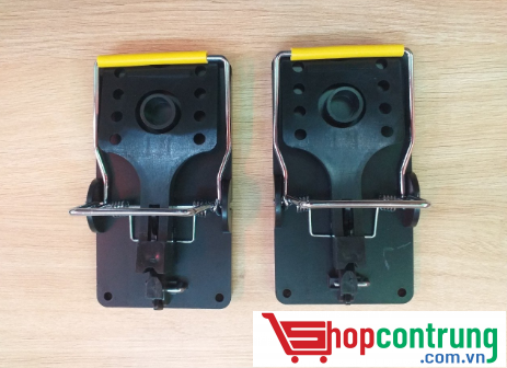 bẫy sập chuột số 1