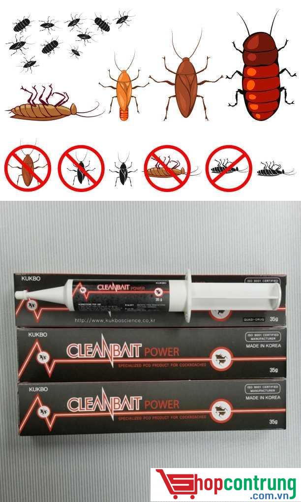 Cleanbait Power diệt gián hiệu quả Cleanbait Power diệt gián hiệu quả
