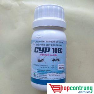 Cyp 10EC thuốc diệt kiến