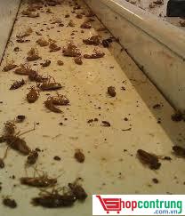 Gían sau khi dính thuốc Gían sau khi dính thuốc