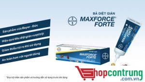 Maxforce Forte- diệt gián