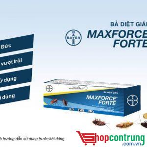 Maxforce Forte- diệt gián