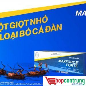 thuốc diệt gián Maxforce Forte