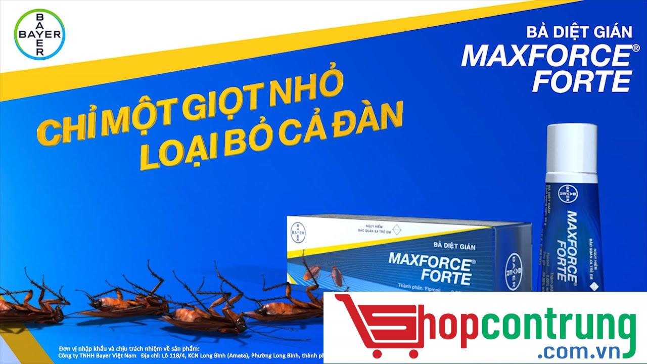 Maxforce Forte- diệt gián HIỆU QUẢ thuốc diệt gián Maxforce Forte