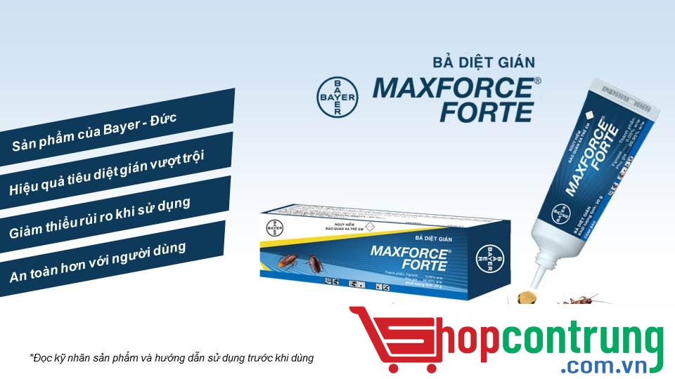 Maxforce Forte- diệt gián Maxforce Forte- diệt gián