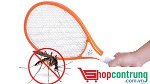Sử dụng vợt bắt muỗi để bắt muỗi