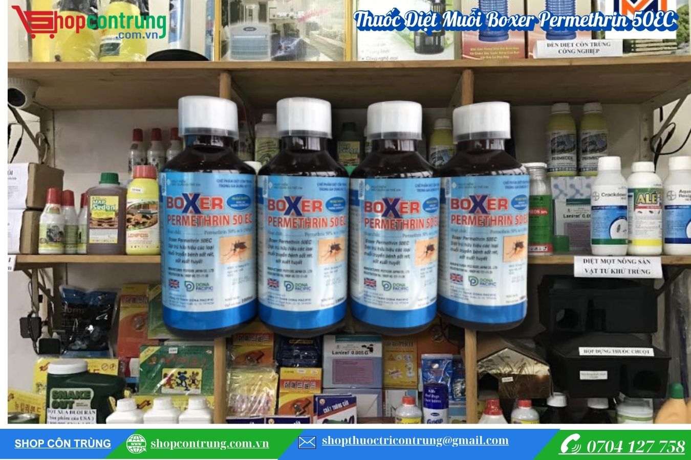 Thuốc Diệt Muỗi Boxer Permethrin 50EC