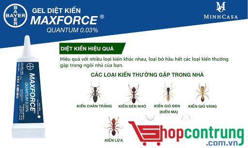 gel diệt kiến gel diệt kiến