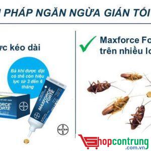 giải pháp diệt gián