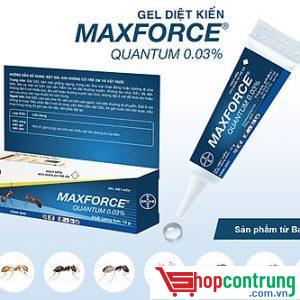 thuốc Maxforce Quantum.