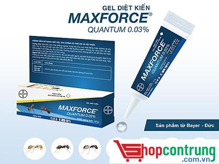 thuốc Maxforce Quantum.
