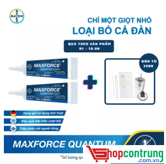 thuốc Maxforce Quantum thuốc Maxforce Quantum