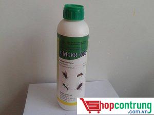 thuốc diệt muỗi Ginger 10SC