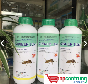 thuốc muỗi ginger 10sc