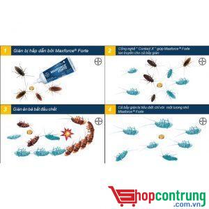 ưu điểm thuốc Maxforce Forte