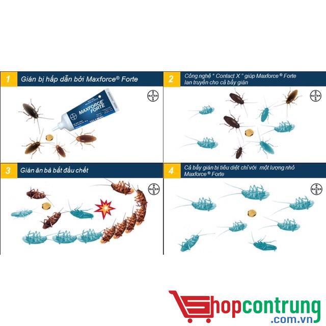 ưu điểm thuốc Maxforce Forte ưu điểm thuốc Maxforce Forte