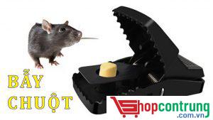 bẫy chuột thông minh