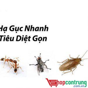 Thuốc diệt côn trùng PESGUARD FG161 CHÍNH HÃNG
