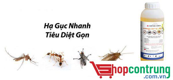 Thuốc diệt côn trùng PESGUARD FG161 CHÍNH HÃNG