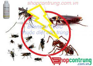 thuốc diệt muỗi BIFENSTA 10SC