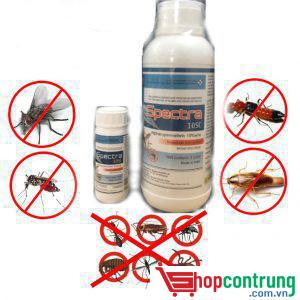 thuốc diệt muỗi SPESTRA 10SC