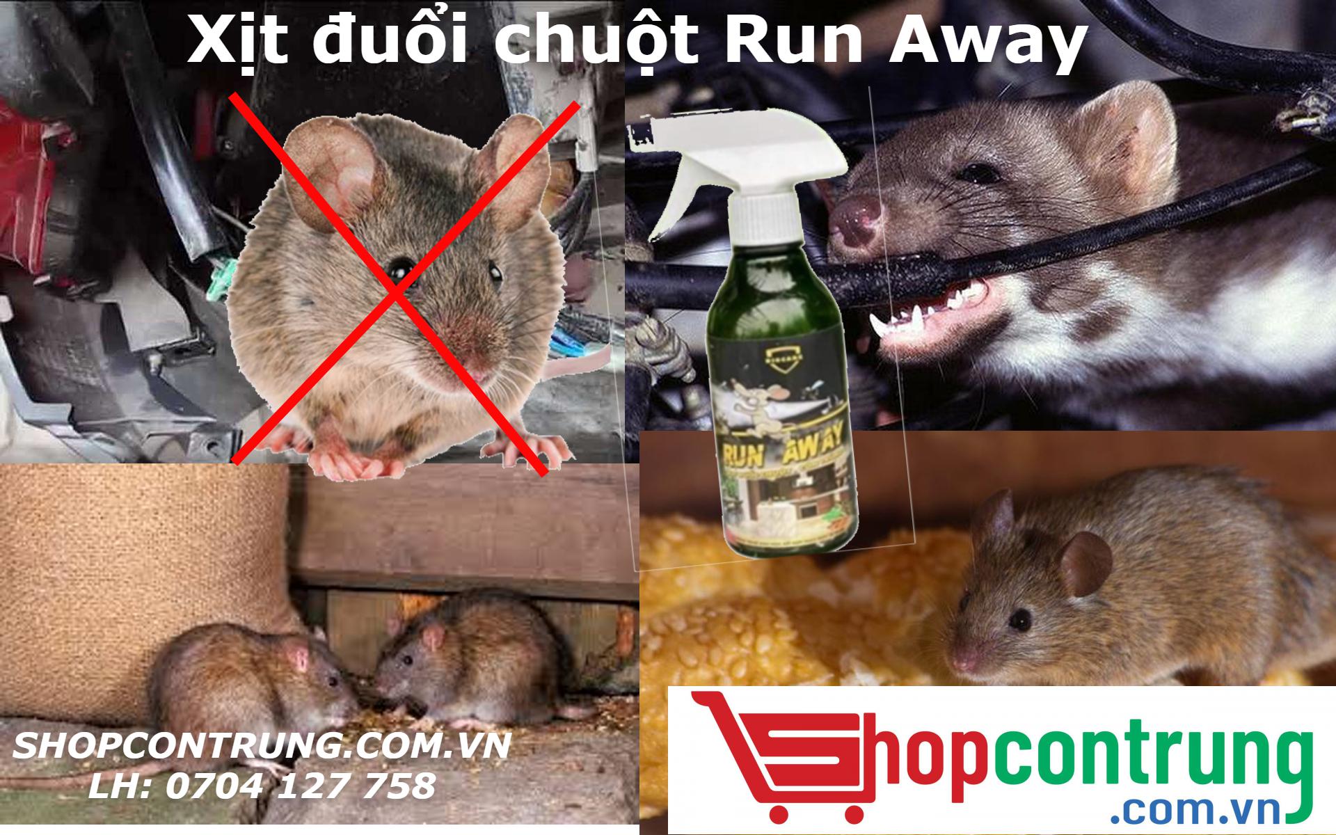 CÔNG DỤNG CỦA XỊT ĐUỔI CHUỘT RUN AWAY CÔNG DỤNG CỦA XỊT ĐUỔI CHUỘT RUN AWAY