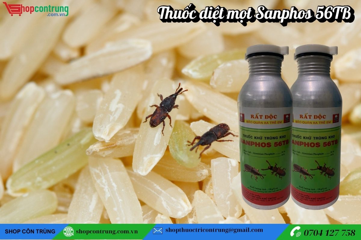 Thuốc diệt mọt Sanphos 56TB
