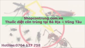 Thuốc diệt côn trùng tại Bà Rịa – Vũng Tàu