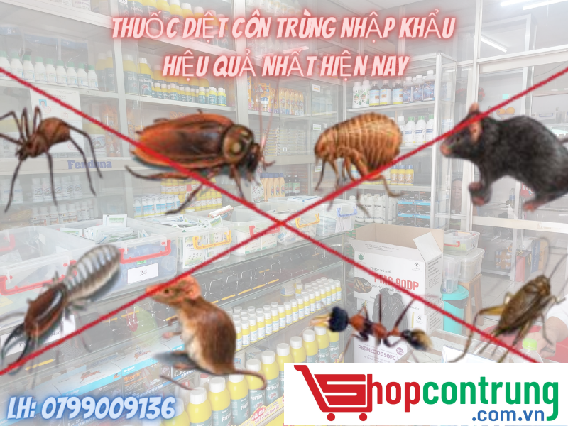 thuốc diệt côn trùng nhập khẩu hiệu quả nhất hiện nay
