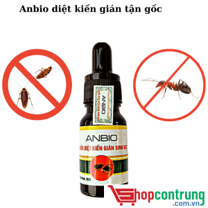 Công dụng thuốc diệt kiến gián sinh học Anbio