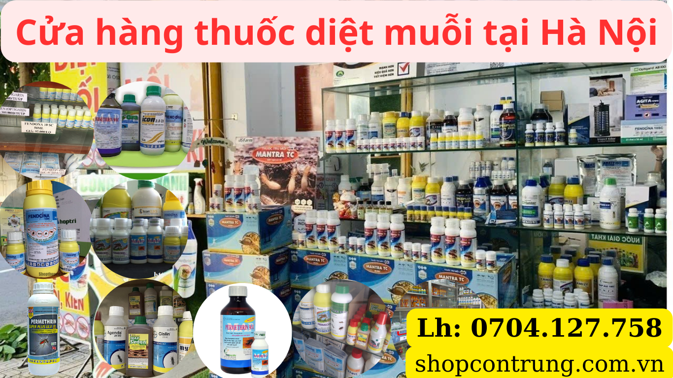 Thuốc Diệt Muỗi Hà Nội - Giải Pháp Hiệu Quả Cho Mùa Muỗi