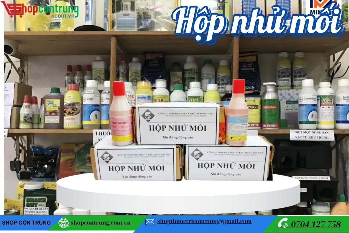 Hộp nhử mối (1)