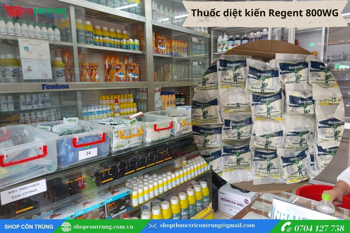 Thuốc diệt kiến Regent 800WG