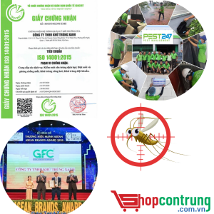 Công ty TNHH Khử Trùng Xanh (GFC GROUP)- Công ty phun thuốc muỗi tại TP.HCM Và Hà Nội