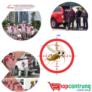Công ty cổ phần tập đoàn VinPest- chuyên dịch vụ diệt muỗi tại TP.HCM Và Hà Nội
