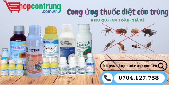 Mua thuốc diệt côn trùng Bestkill