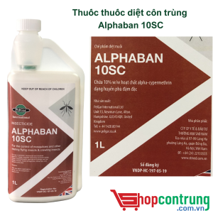 Thuốc thuốc diệt côn trùng Alphaban 10SC