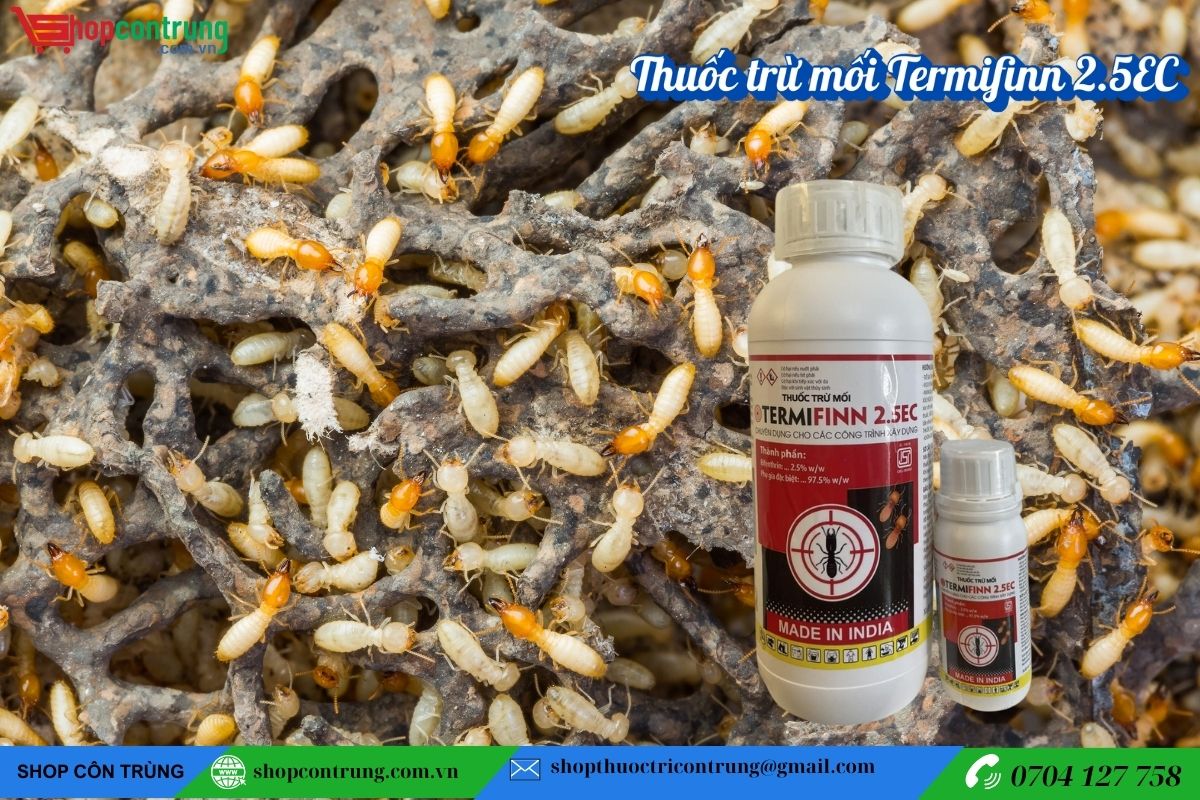 Thuốc trừ mối Termifinn 2.5EC