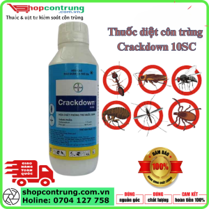 Thuốc diệt côn trùng Crackdown 10SC