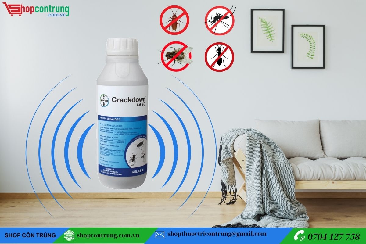 Thuốc diệt côn trùng Crackdown 10SC