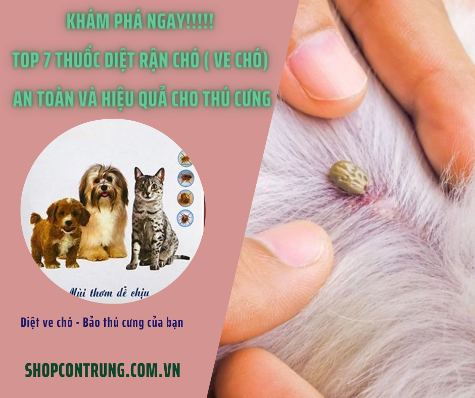 Thuốc diệt rận chó ( ve chó) an toàn và hiệu quả cho thú cưng