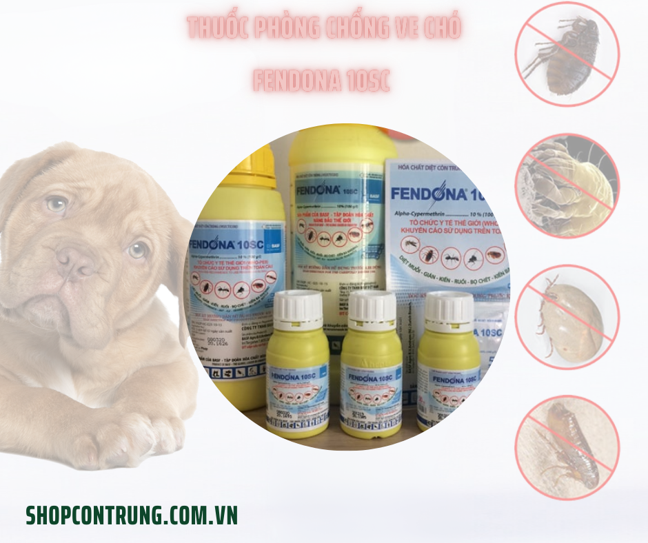 Thuốc phòng chống ve chó Fendona 10SC