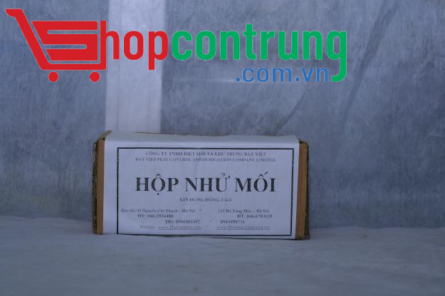 Hộp nhử mối (1)